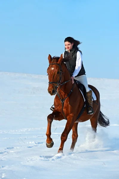 Menina com um cavalo — Fotografia de Stock