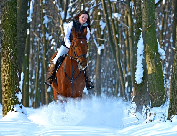 Mädchen mit Pferd — Stockfoto