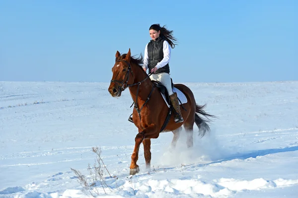 Menina com um cavalo — Fotografia de Stock