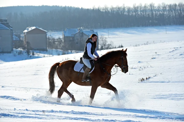 Menina com cavalo — Fotografia de Stock