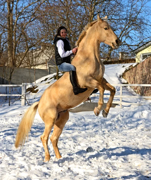 Flicka med häst — Stockfoto