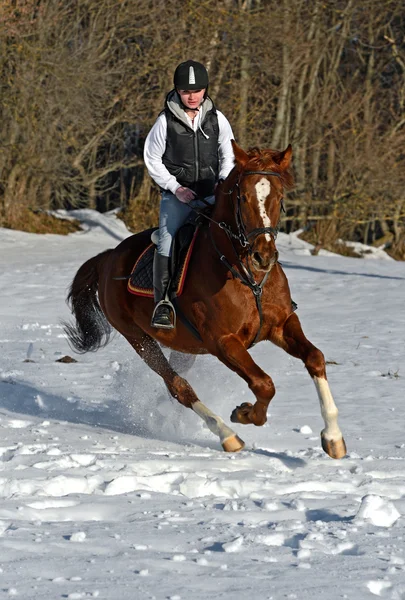 Menina com cavalo — Fotografia de Stock