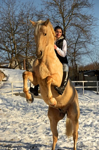 Menina com cavalo — Fotografia de Stock