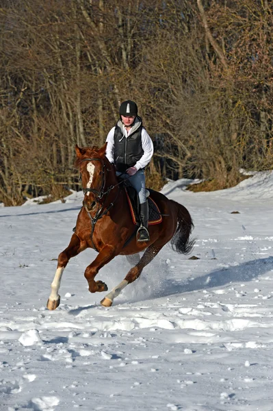 Mädchen mit Pferd — Stockfoto