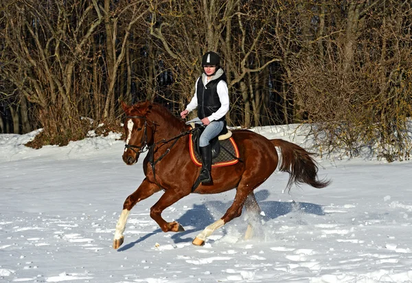 馬と少女 — ストック写真