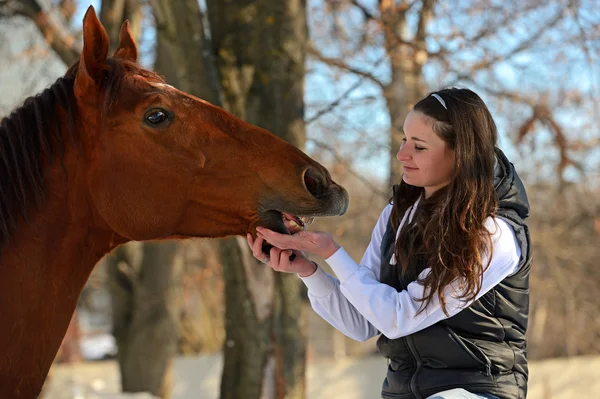Pige med hest - Stock-foto