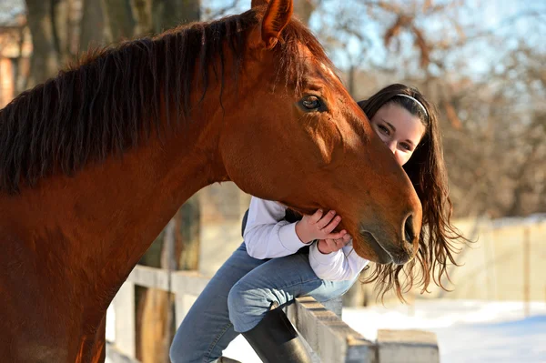 Pige med hest - Stock-foto