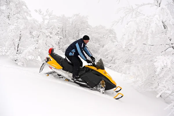 Motos de nieve — Foto de Stock