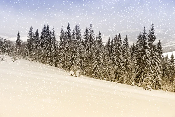 Dia gelado nas montanhas Cárpatos, Ucrânia . — Fotografia de Stock
