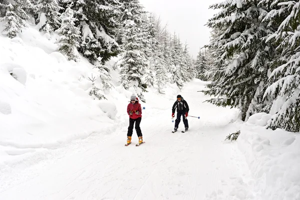 Skiers — Stock Photo, Image