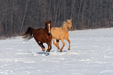 at