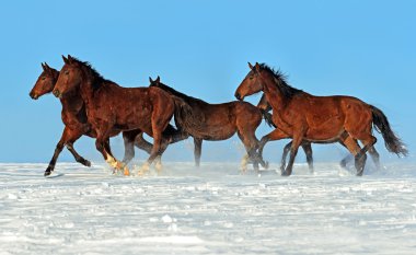at