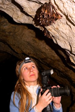 spleolog