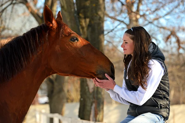 Horse — Stock Photo, Image