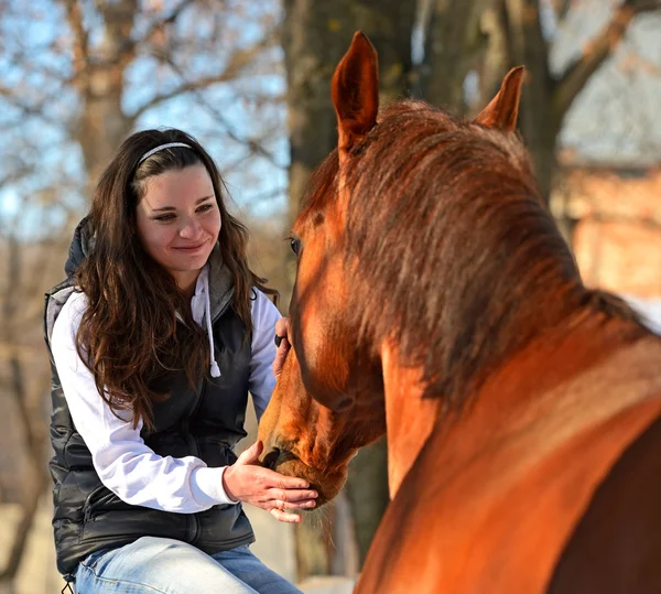 Cavalo — Fotografia de Stock