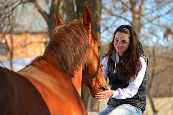 Horse — Stock Photo, Image