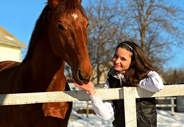 Horse — Stock Photo, Image