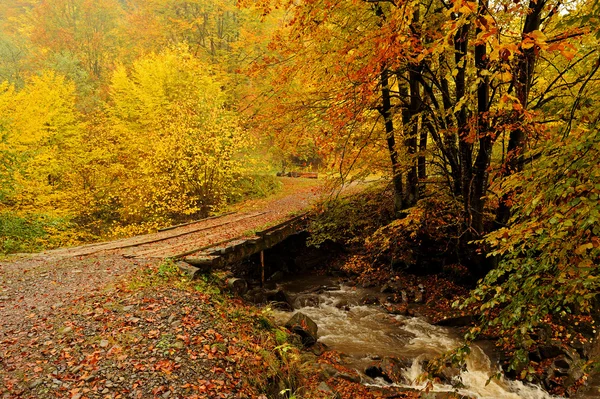 Landskap — Stockfoto