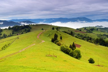 dağlarda akşam peyzaj. Ukrayna.