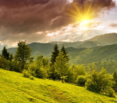 dağlarda akşam peyzaj. Ukrayna.
