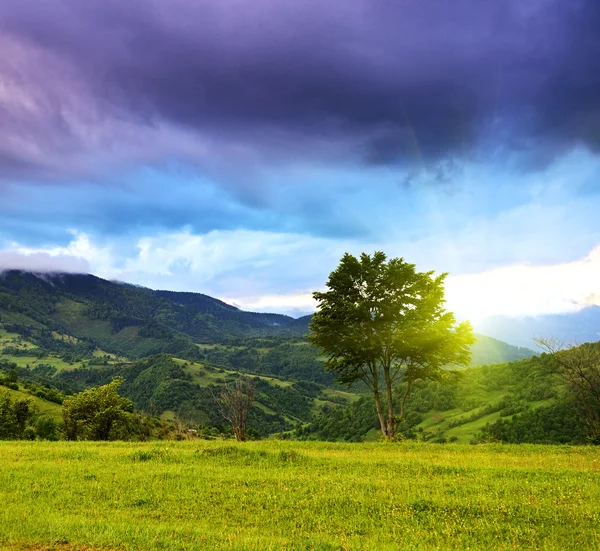 's avonds landschap in de bergen. Oekraïne. — Stockfoto