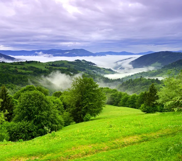 Kvällen landskap i bergen. Ukraina. — Stockfoto