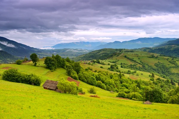 Abendlandschaft in den Bergen. Ukraine. — Stockfoto