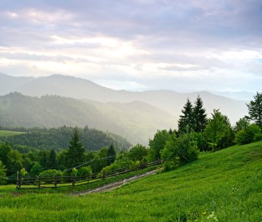 dağlarda akşam peyzaj. Ukrayna.