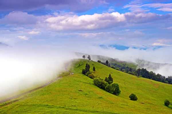 Ochtend landschap in de bergen. Karpaten — Stockfoto