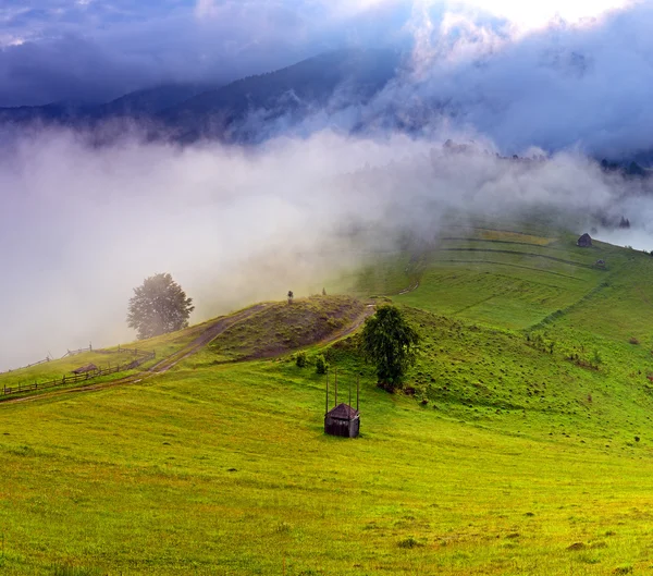 Dağlarda sabah peyzaj. Karpat — Stok fotoğraf