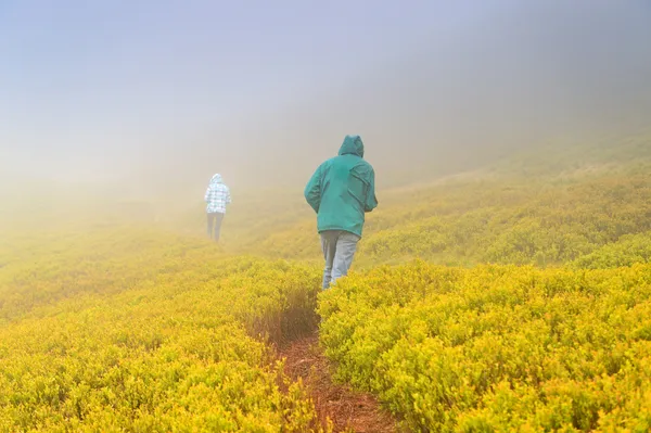 Zware mist in de bergen — Stockfoto