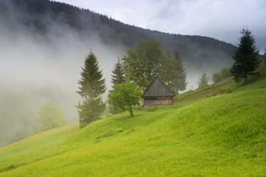 dağlarda akşam peyzaj. Ukrayna.
