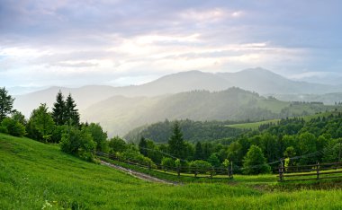 dağlarda akşam peyzaj. Ukrayna.