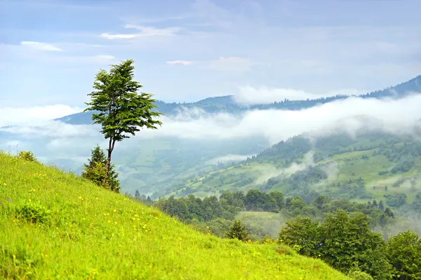 晚上在山中的风景。乌克兰. — 图库照片