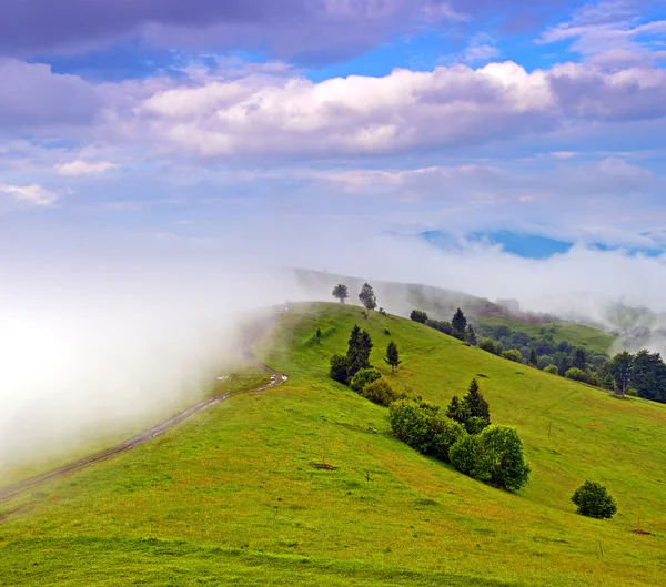 Paisagem matinal nas montanhas. Cárpatos — Fotografia de Stock