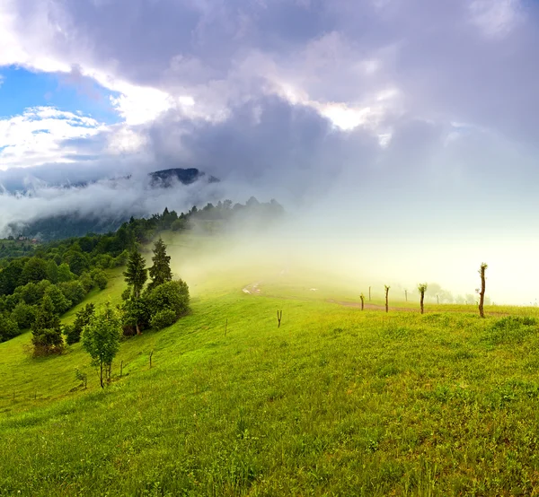 Morgenlandskapet i fjellene. Karpatene – stockfoto