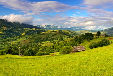 dağlarda akşam peyzaj. Ukrayna.