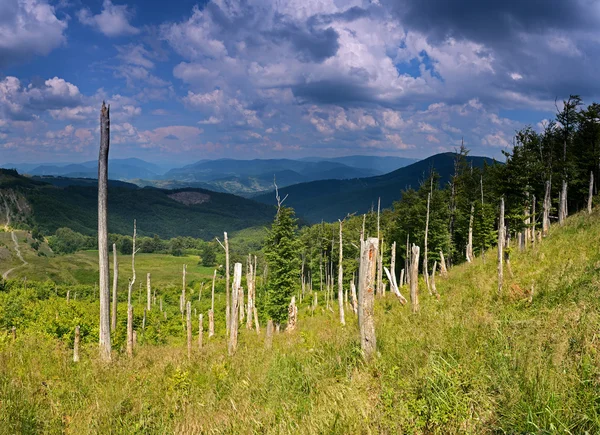 Paisagem montanhosa — Fotografia de Stock