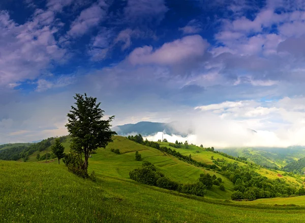 Paisaje matutino en las montañas. Cárpatos, Ucrania, Europa . — Foto de Stock