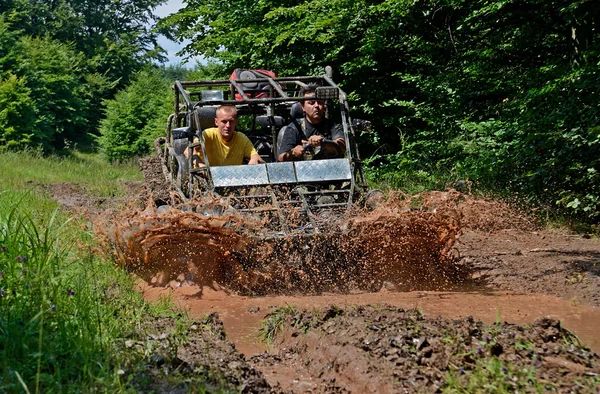 Bugs machine — Stock Photo, Image