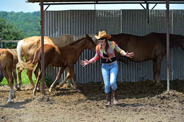 Mädchen mit Pferd — Stockfoto