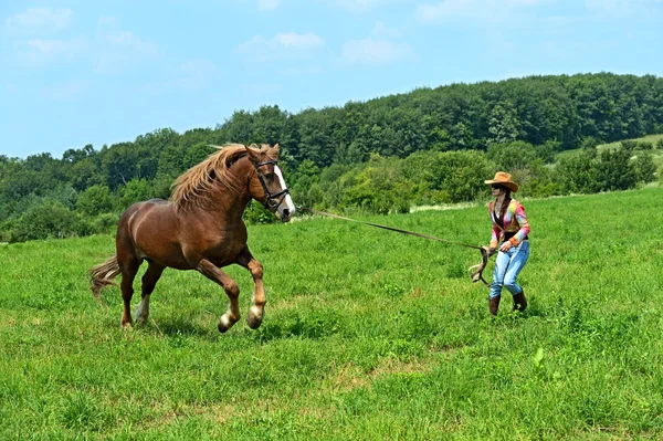 Ragazza con un cavallo — Foto Stock