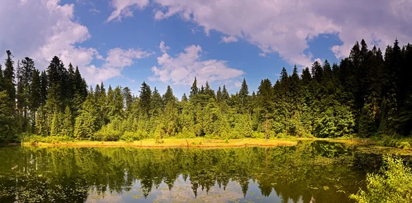 Resa på bergstopparna "Karpaterna" — Stockfoto