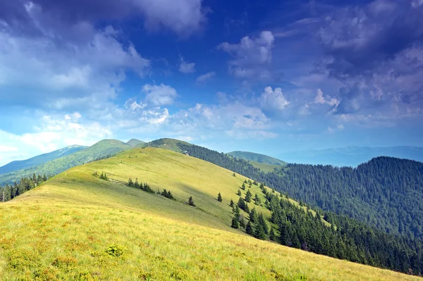 マウンテン トップ"カルパティア山脈で旅行します。" — ストック写真