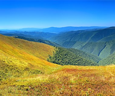 borzhavskogo aralığı.