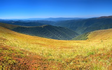 borzhavskogo aralığı.