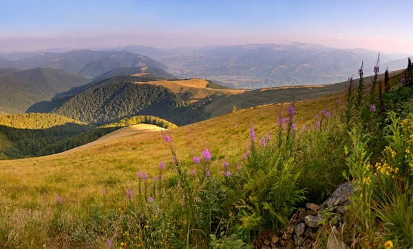 Berglandschap — Stockfoto