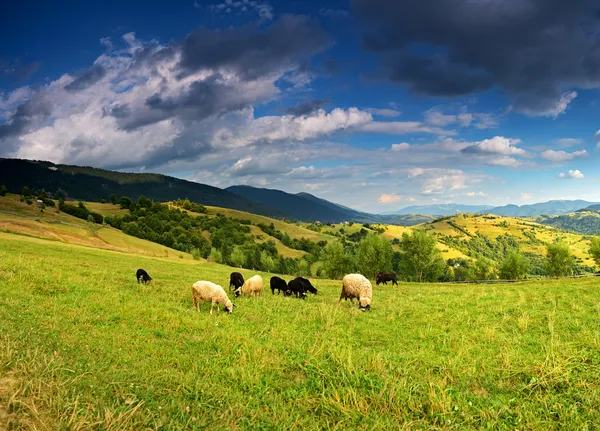 Dağ manzarası — Stok fotoğraf