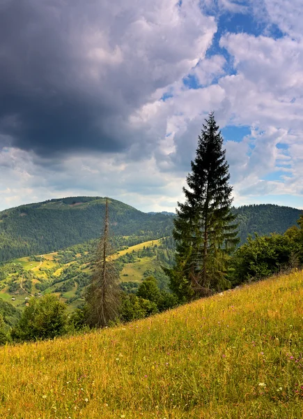 Borschawskogo-Gebirge. — Stockfoto