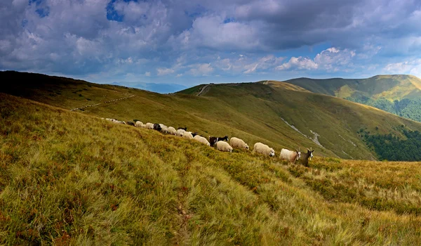 Paisagem montesa — Fotografia de Stock